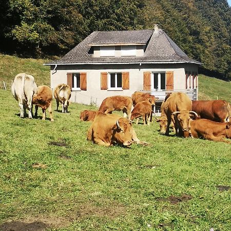 Tourmalet Villa Кампан Екстериор снимка